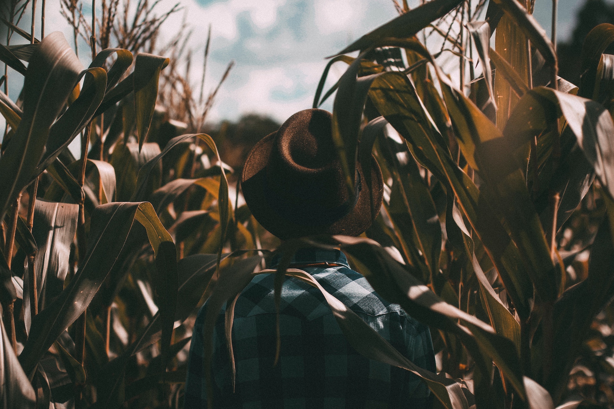 thriveagric